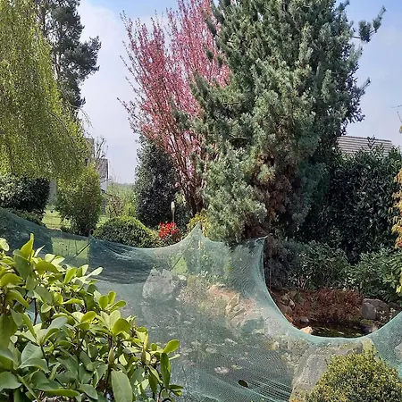 Tatil Evi Paula In Im Hunsrueck, Cleaning Included Haserich